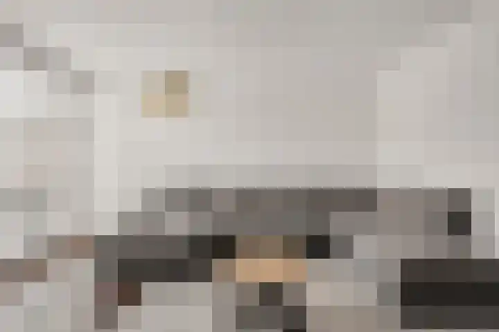 Randwijkstraat 6 Tilburg thumbnail 9