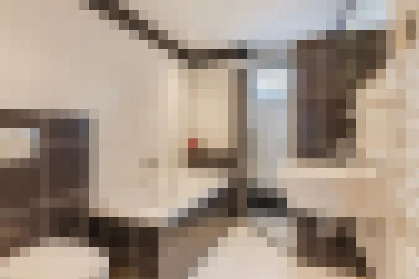 Randwijkstraat 61 Tilburg thumbnail 19