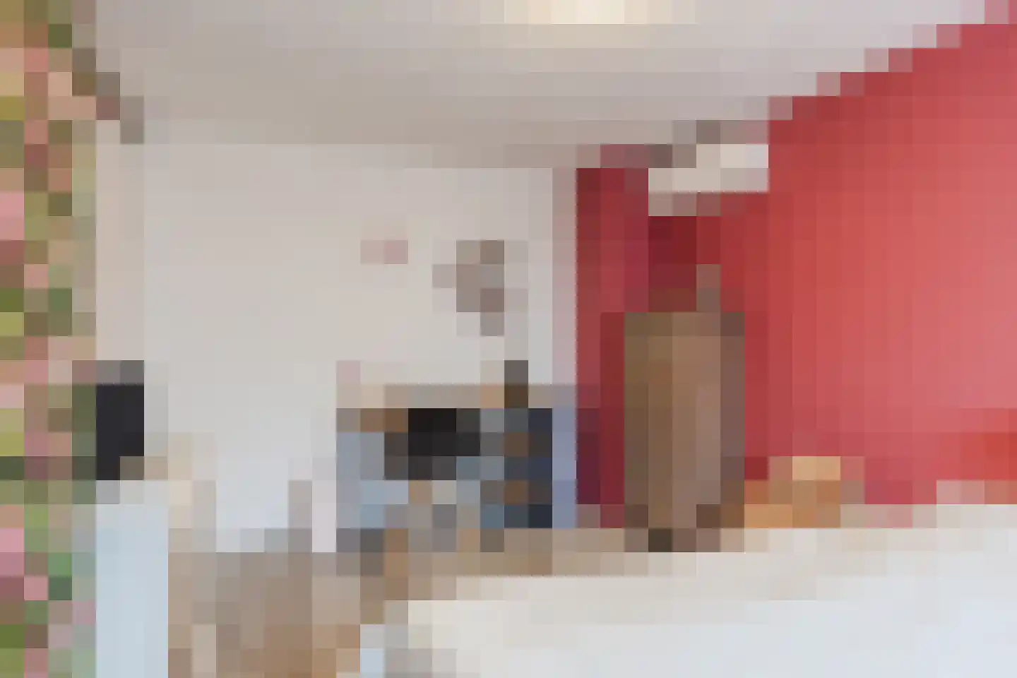 Randwijkstraat 61 Tilburg thumbnail 29