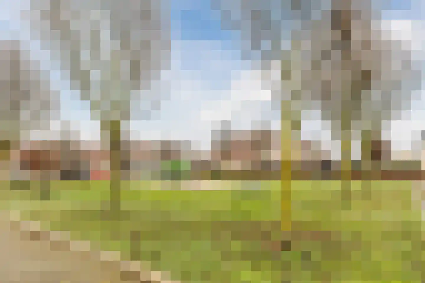 Randwijkstraat 61 Tilburg thumbnail 38