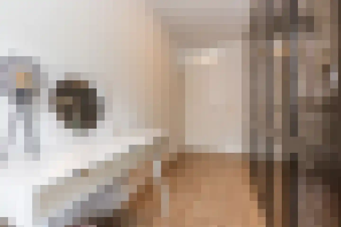Randwijkstraat 67 Tilburg thumbnail 21
