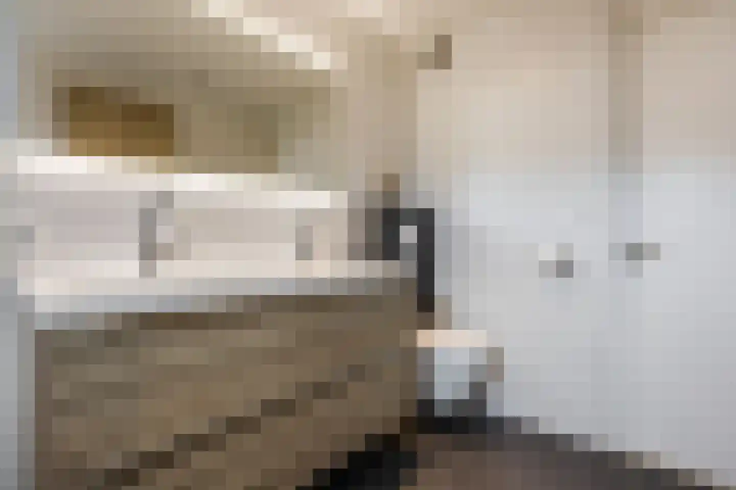 Randwijkstraat 67 Tilburg thumbnail 23