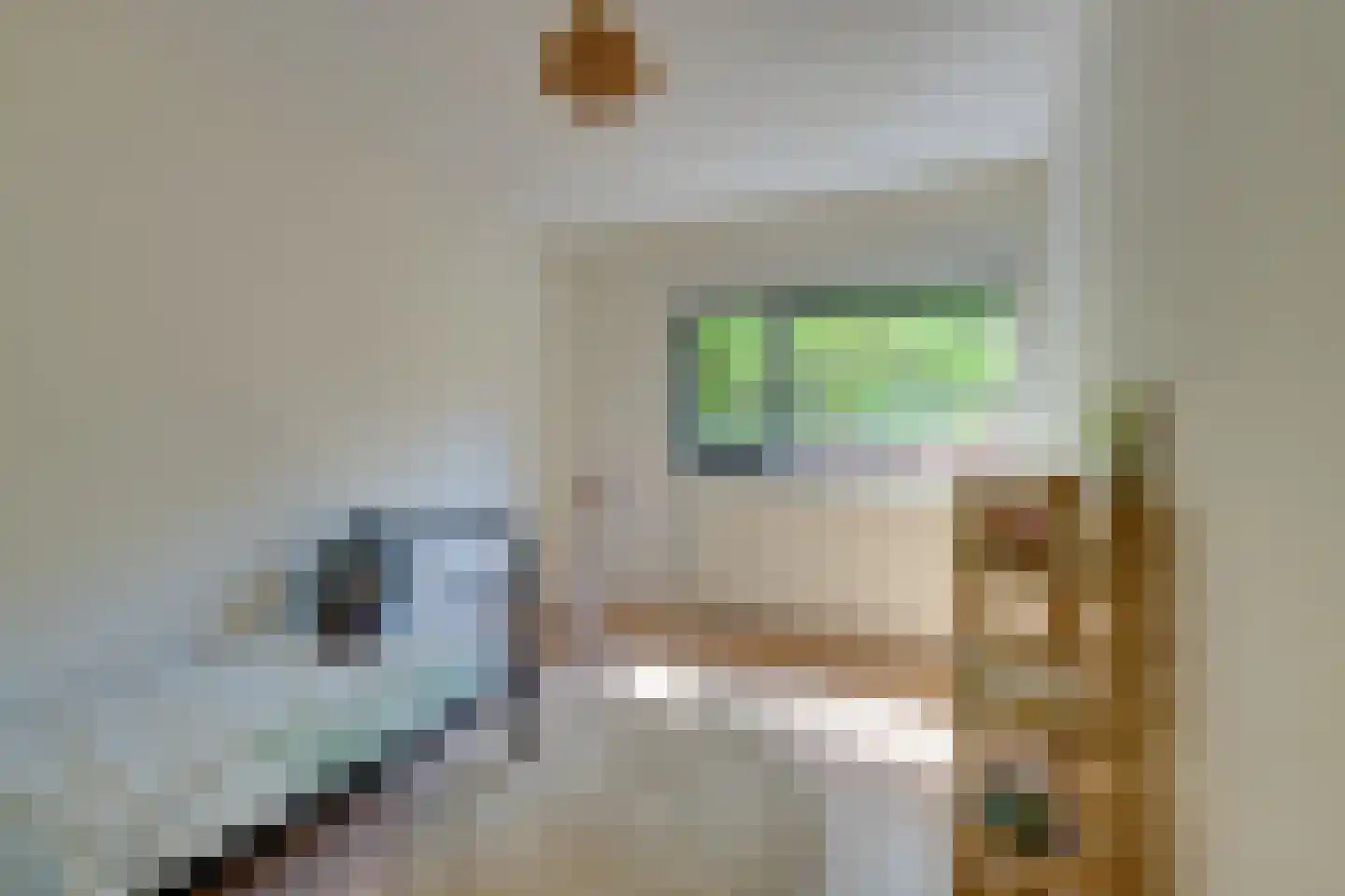 Rangeerderstraat 12 Amsterdam thumbnail 12