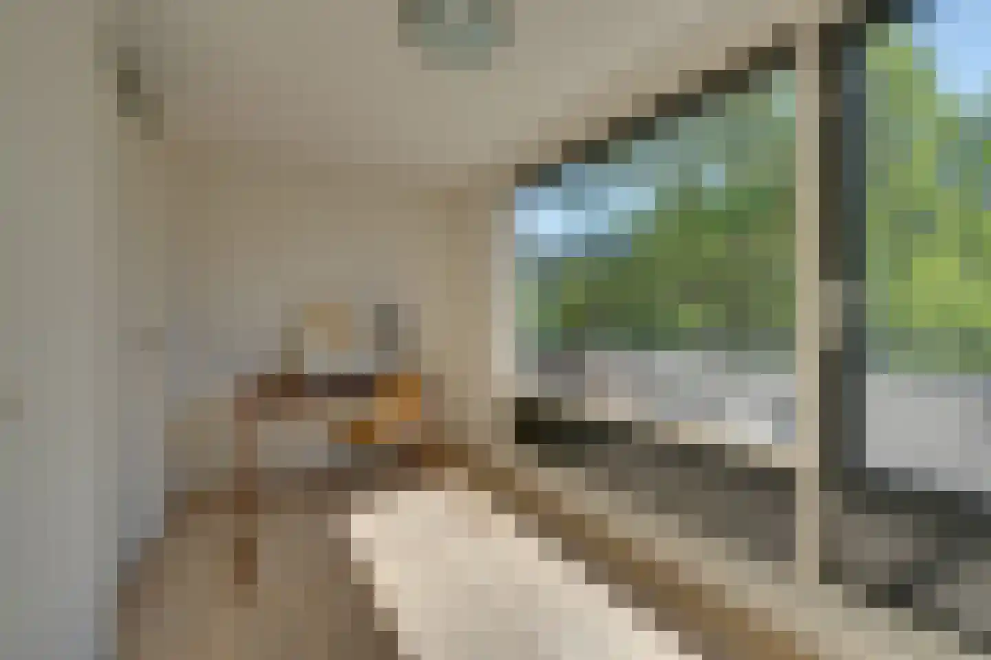 Rangeerderstraat 12 Amsterdam thumbnail 16