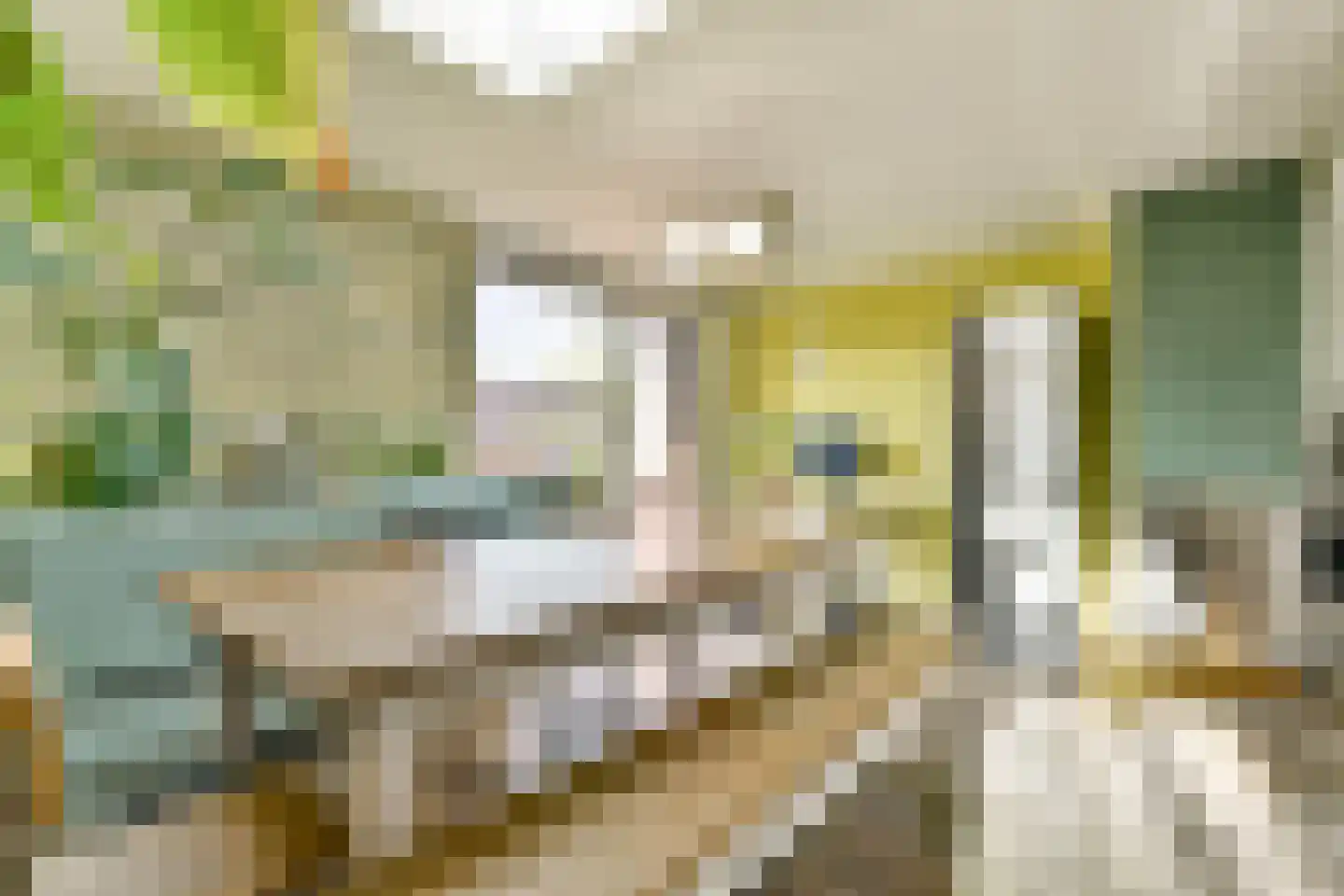 Rangeerderstraat 16 Amsterdam thumbnail 12