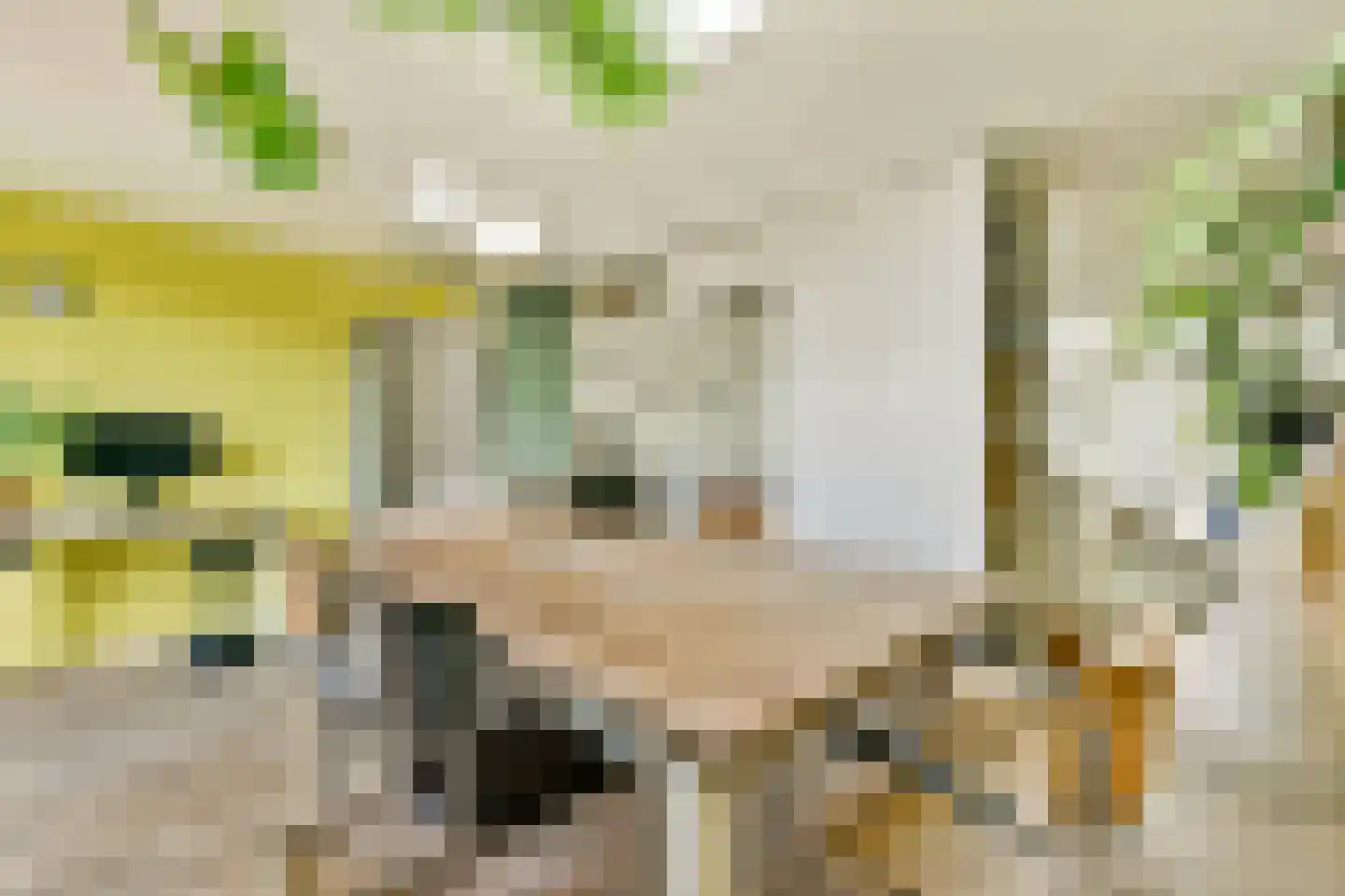 Rangeerderstraat 16 Amsterdam thumbnail 13