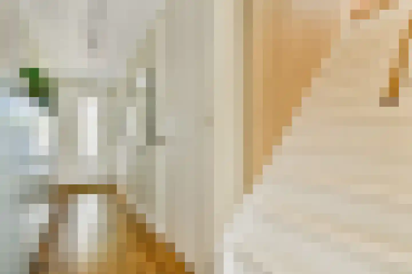 Rangeerderstraat 16 Amsterdam thumbnail 15