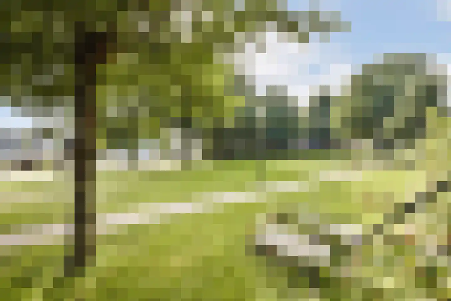 Rangeerderstraat 16 Amsterdam thumbnail 29