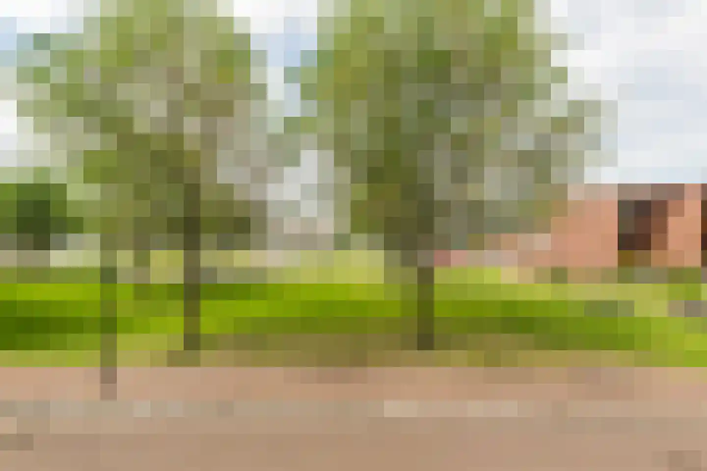 Rangeerderstraat 16 Amsterdam thumbnail 32