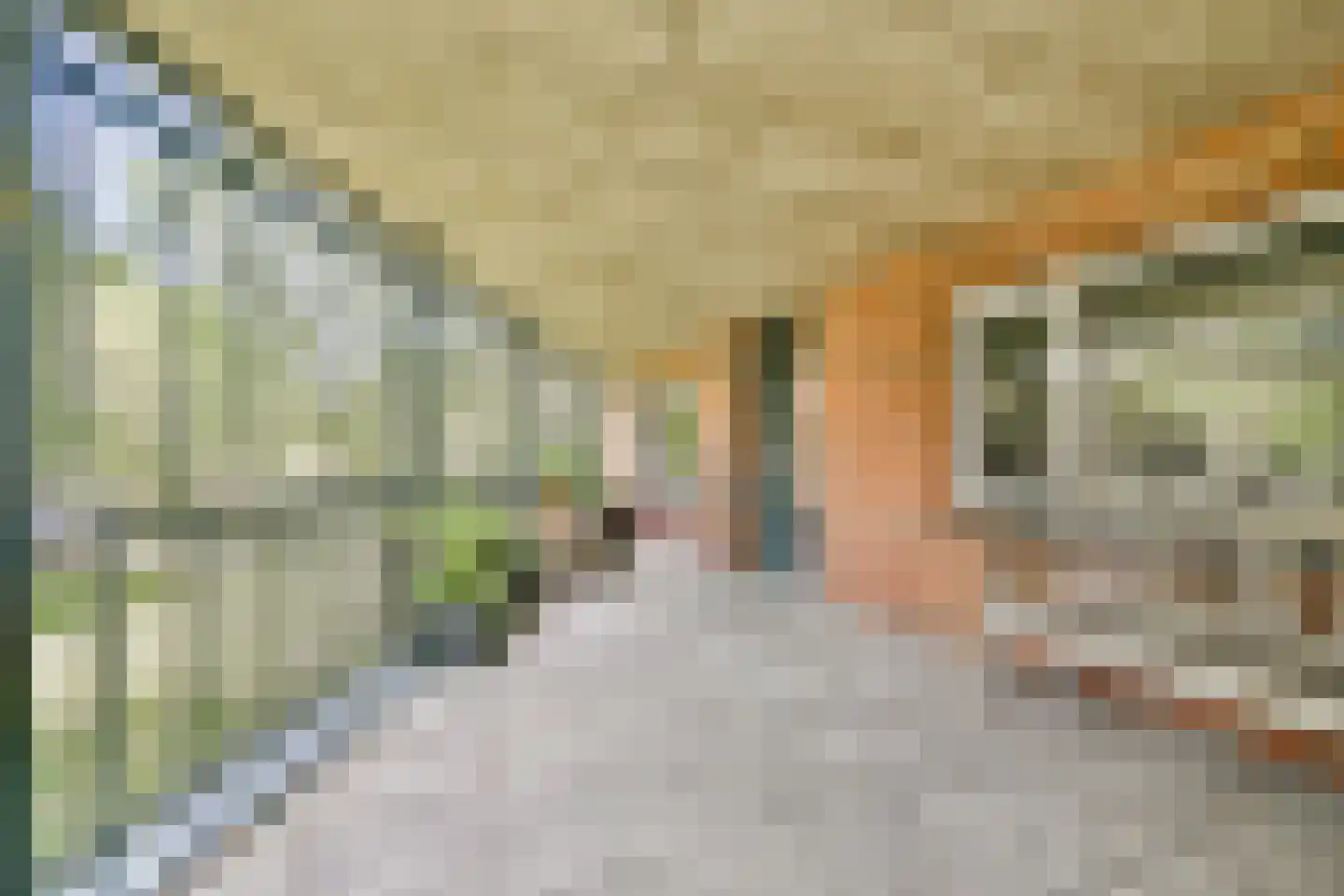 Rangeerderstraat 16 Amsterdam thumbnail 6