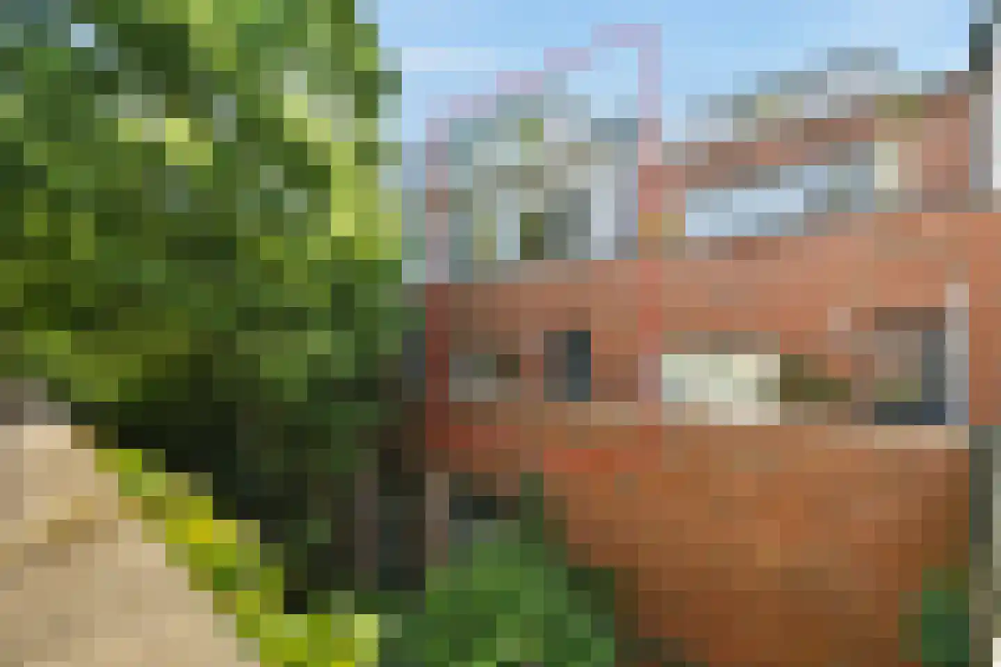Rangeerderstraat 28 Amsterdam thumbnail 6