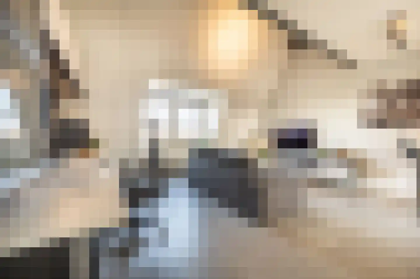Rankpad 29 Klaaswaal