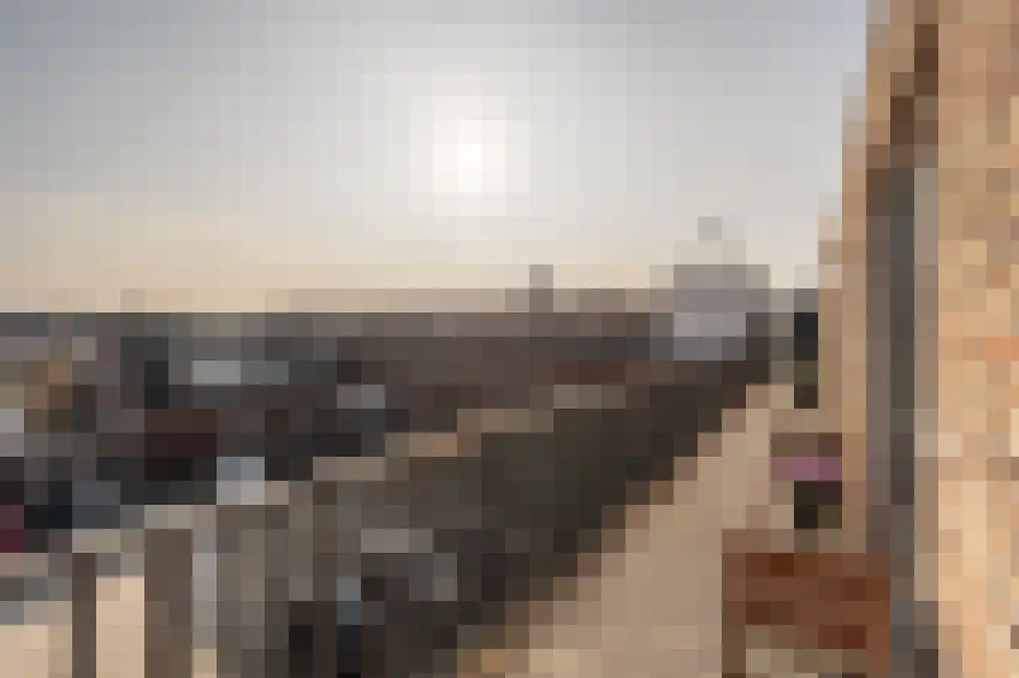 Rankpad 29 Klaaswaal thumbnail 16
