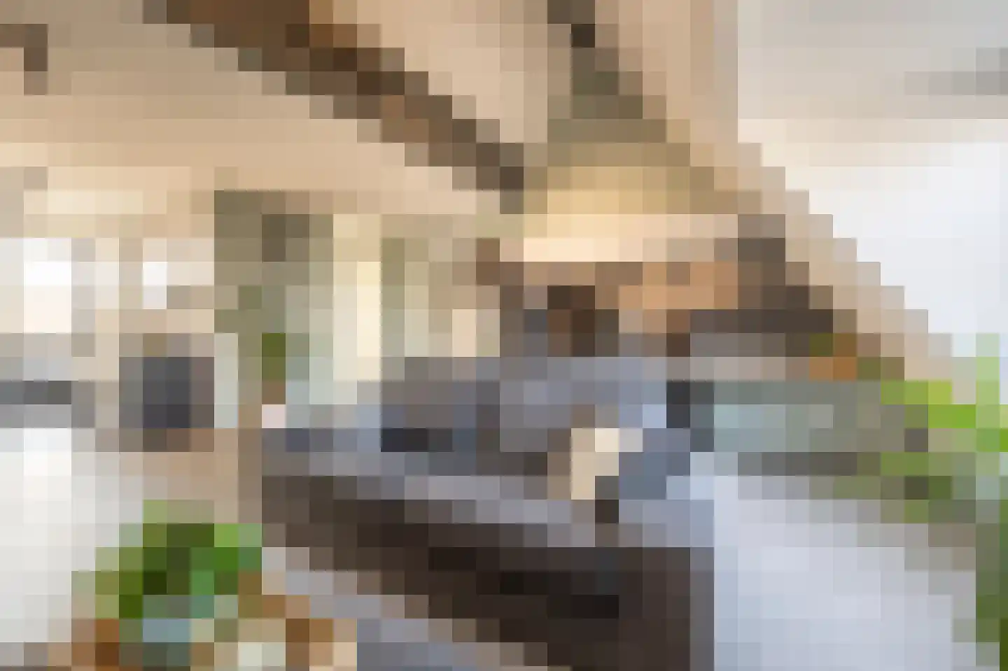 Rankpad 29 Klaaswaal thumbnail 4