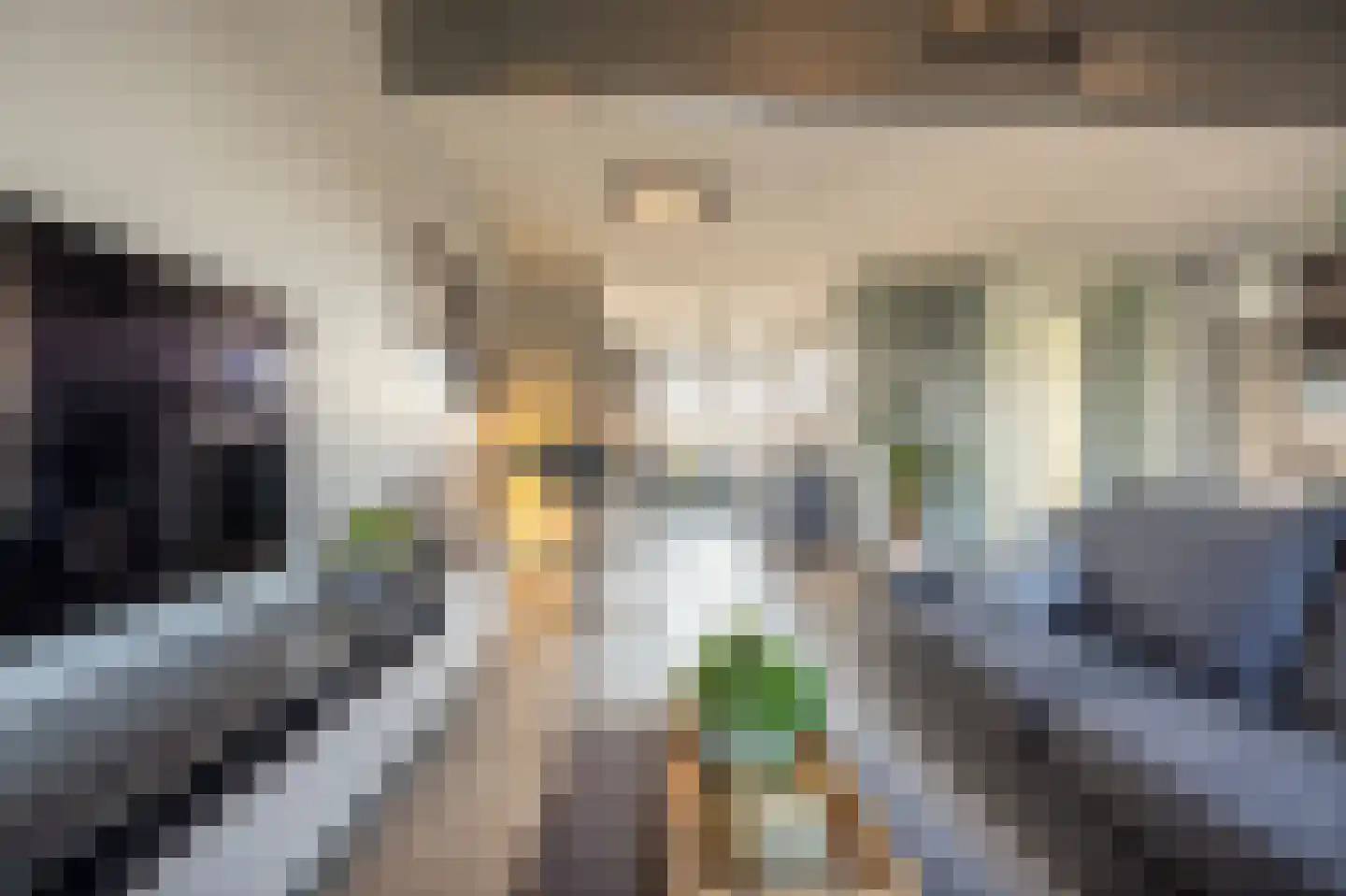 Rankpad 29 Klaaswaal thumbnail 5
