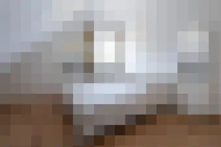 Ranninkstraat 26 Delden thumbnail 21