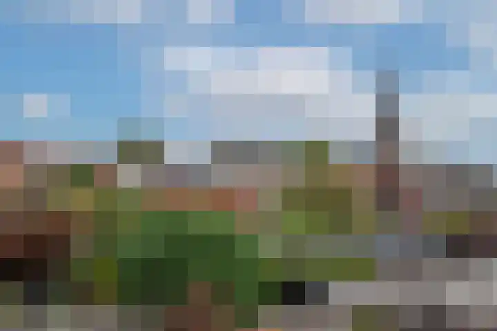 Ranninkstraat 66 Delden thumbnail 30