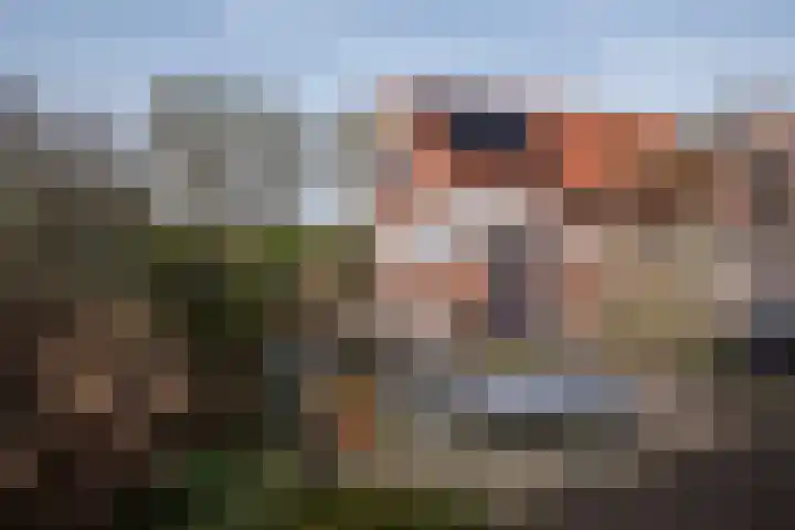 Ranninkstraat 78 Delden thumbnail 22