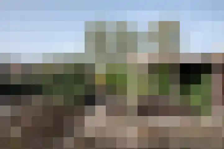 Ranninkstraat 78 Delden thumbnail 24