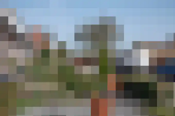 Ranninkstraat 78 Delden thumbnail 29