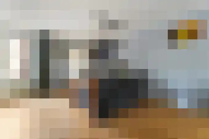 Ranonkel 15 Sprang-Capelle thumbnail 10