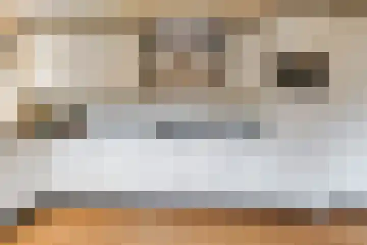 Ranonkel 15 Sprang-Capelle thumbnail 13