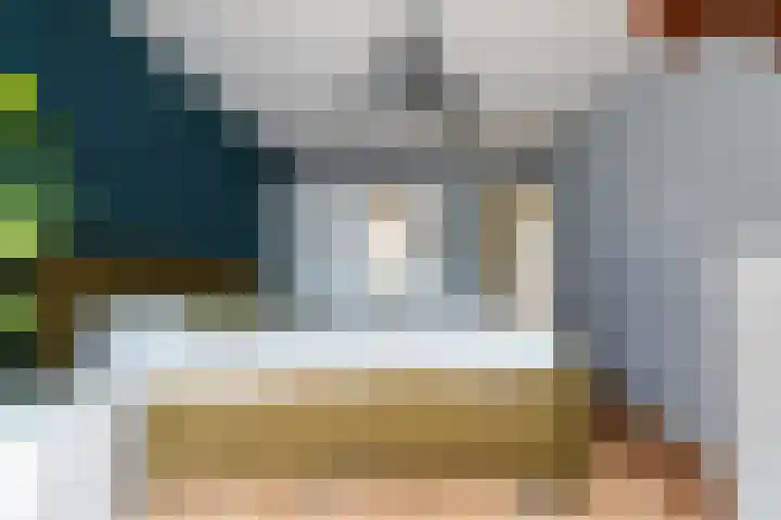 Ranonkel 15 Sprang-Capelle thumbnail 20
