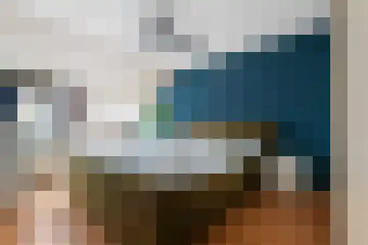 Ranonkel 15 Sprang-Capelle thumbnail 21