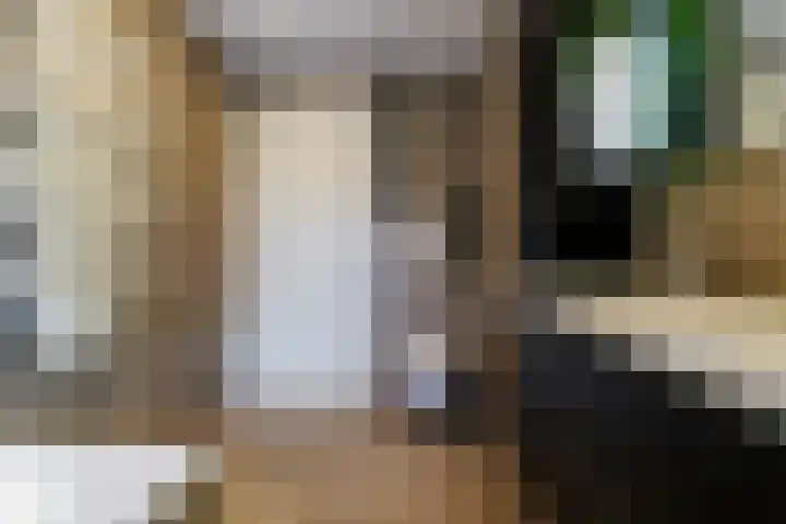 Ranonkel 15 Sprang-Capelle thumbnail 25