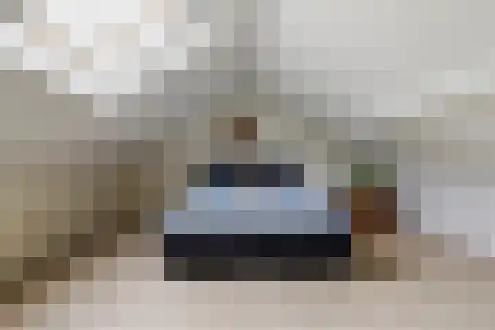 Ranonkel 15 Sprang-Capelle thumbnail 27