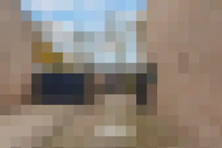 Ranonkel 15 Sprang-Capelle thumbnail 29