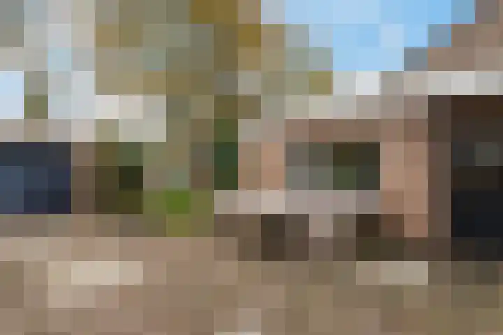 Ranonkel 15 Sprang-Capelle thumbnail 30