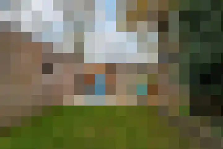 Ranonkel 15 Sprang-Capelle thumbnail 32