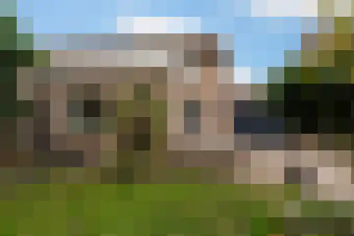 Ranonkel 15 Sprang-Capelle thumbnail 33