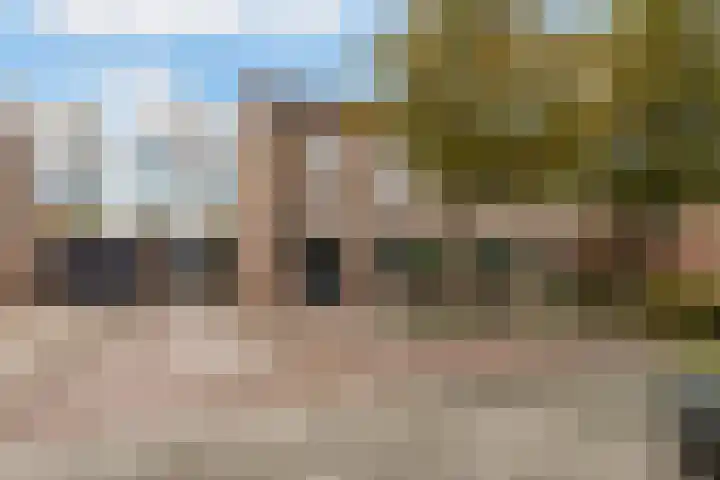 Ranonkel 15 Sprang-Capelle thumbnail 34