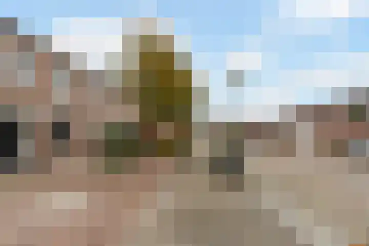 Ranonkel 15 Sprang-Capelle thumbnail 35