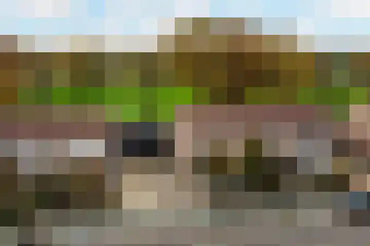 Ranonkel 15 Sprang-Capelle thumbnail 36