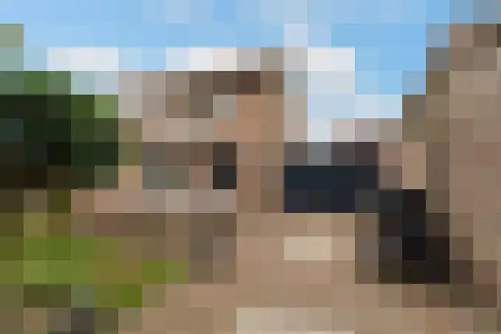 Ranonkel 15 Sprang-Capelle thumbnail 4