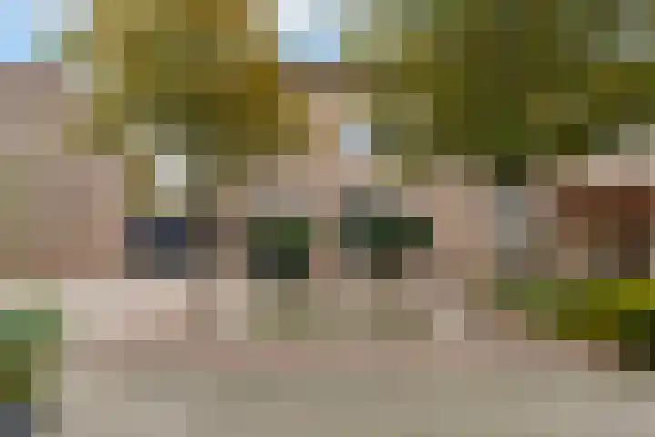Ranonkel 15 Sprang-Capelle thumbnail 5