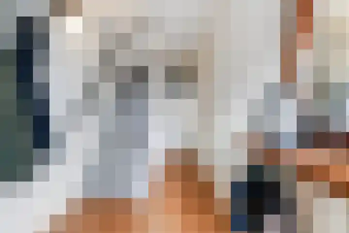 Ranonkel 15 Sprang-Capelle thumbnail 6
