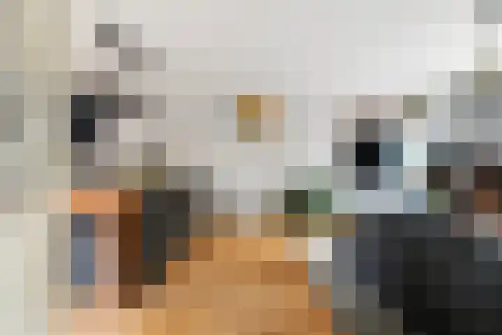 Ranonkel 15 Sprang-Capelle thumbnail 7