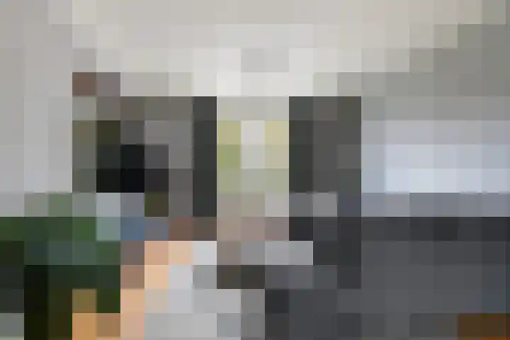 Ranonkel 15 Sprang-Capelle thumbnail 8