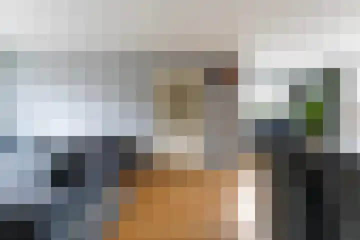 Ranonkel 15 Sprang-Capelle thumbnail 9