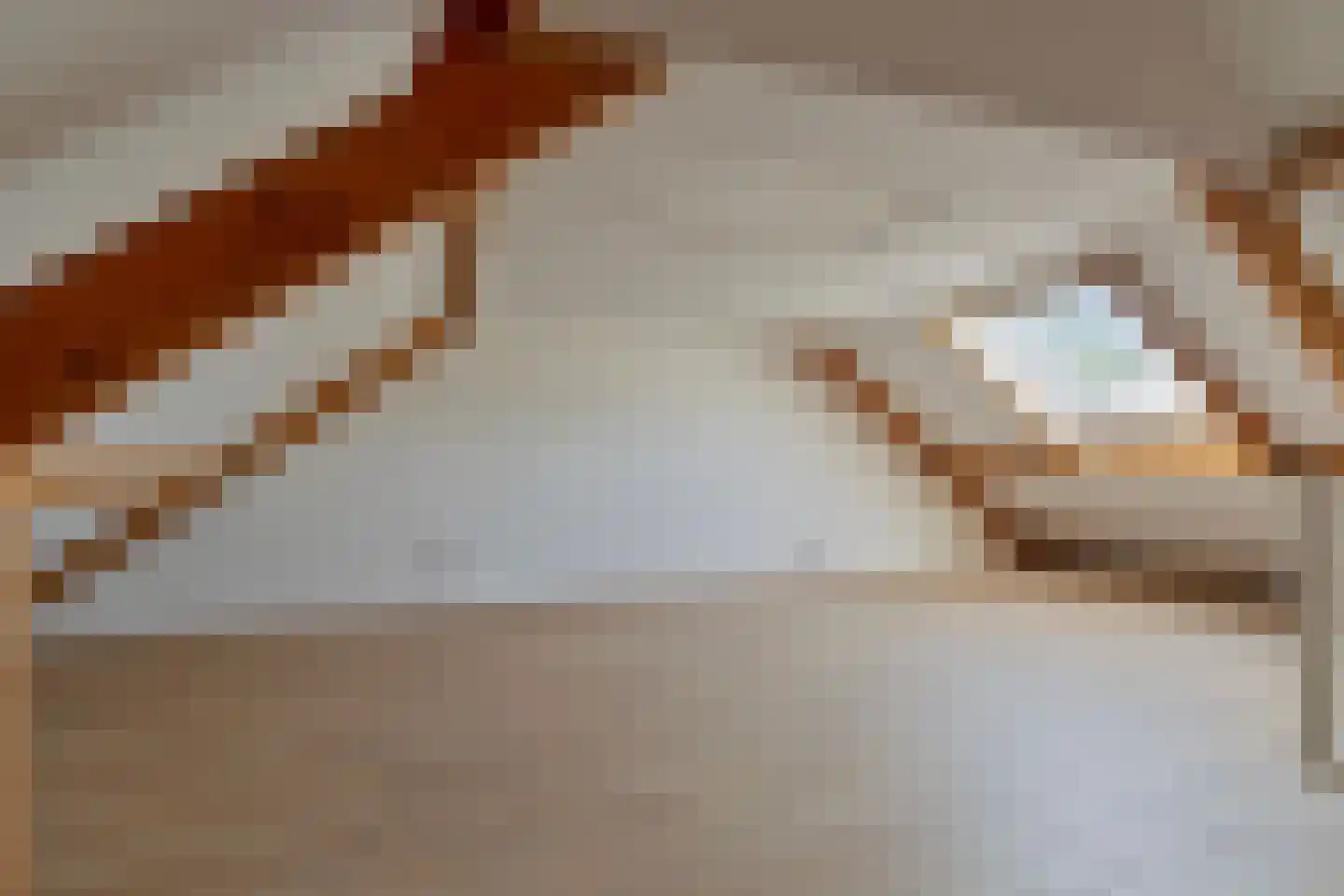 Ranonkel 15 Venray thumbnail 25