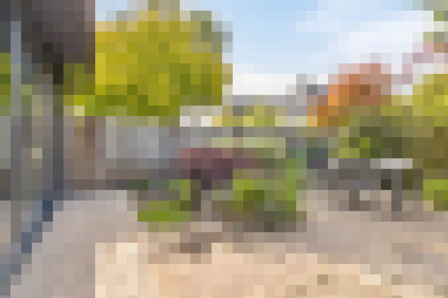 Ranonkel 15 Venray thumbnail 29