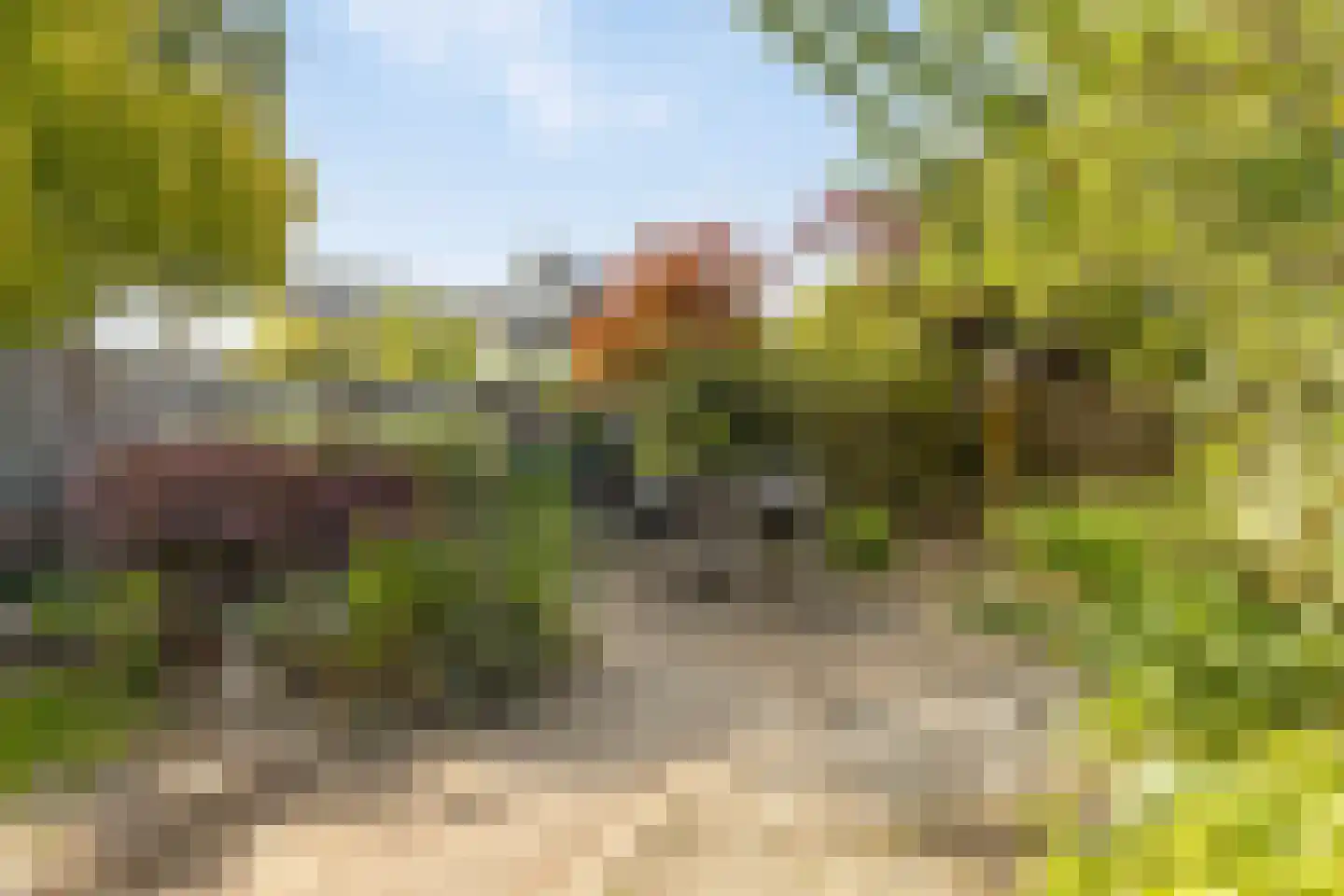 Ranonkel 15 Venray thumbnail 31