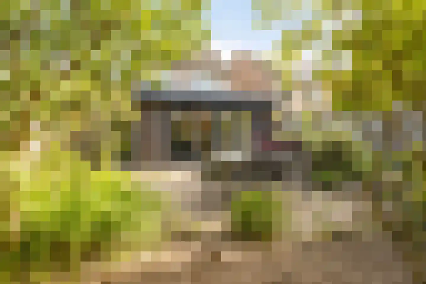 Ranonkel 15 Venray thumbnail 32