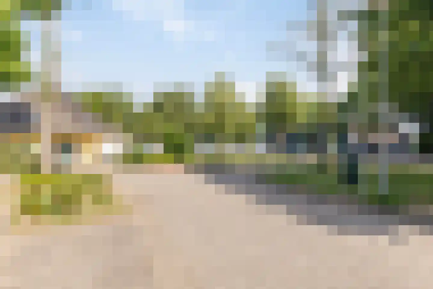 Ranonkel 15 Venray thumbnail 35