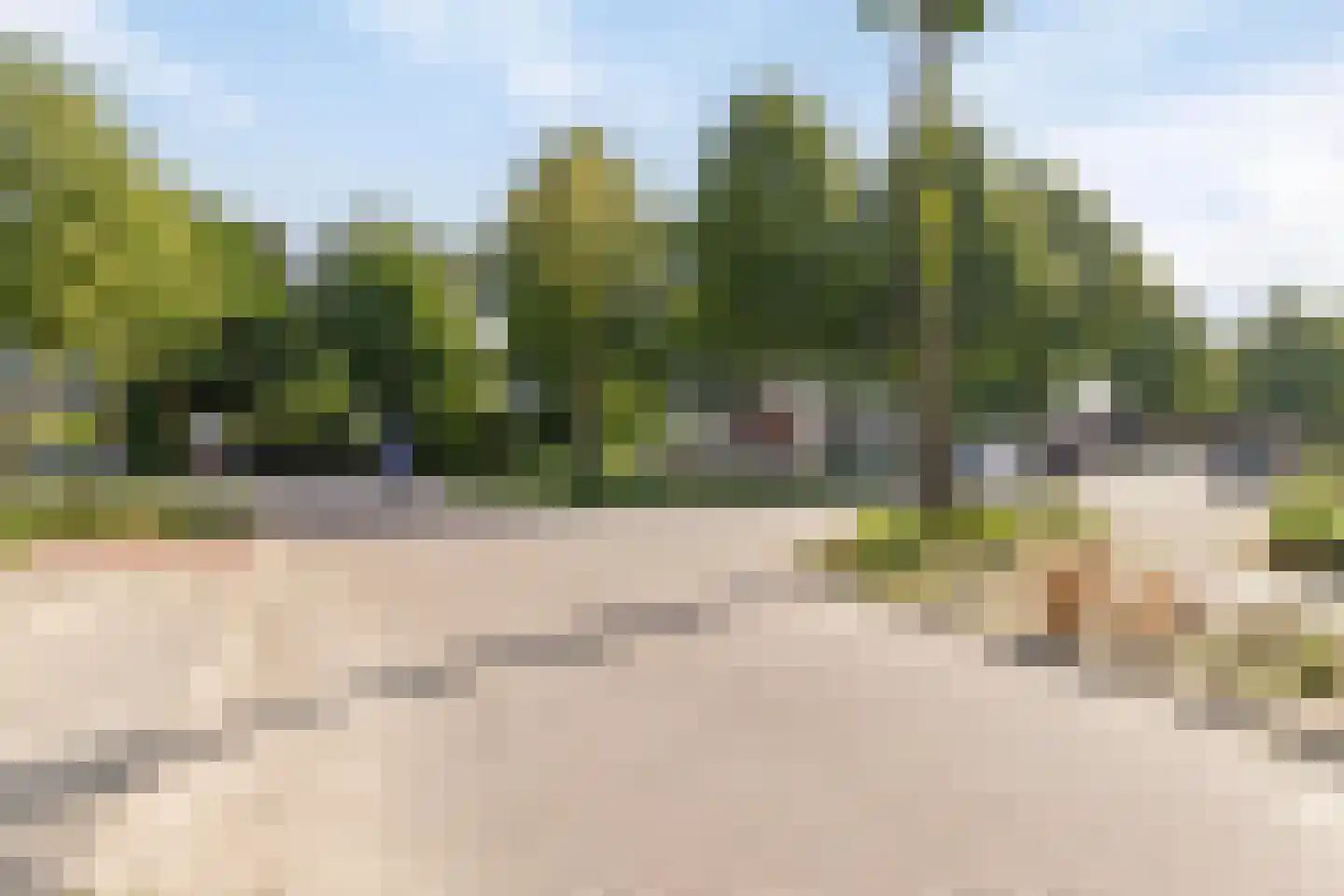 Ranonkel 15 Venray thumbnail 36