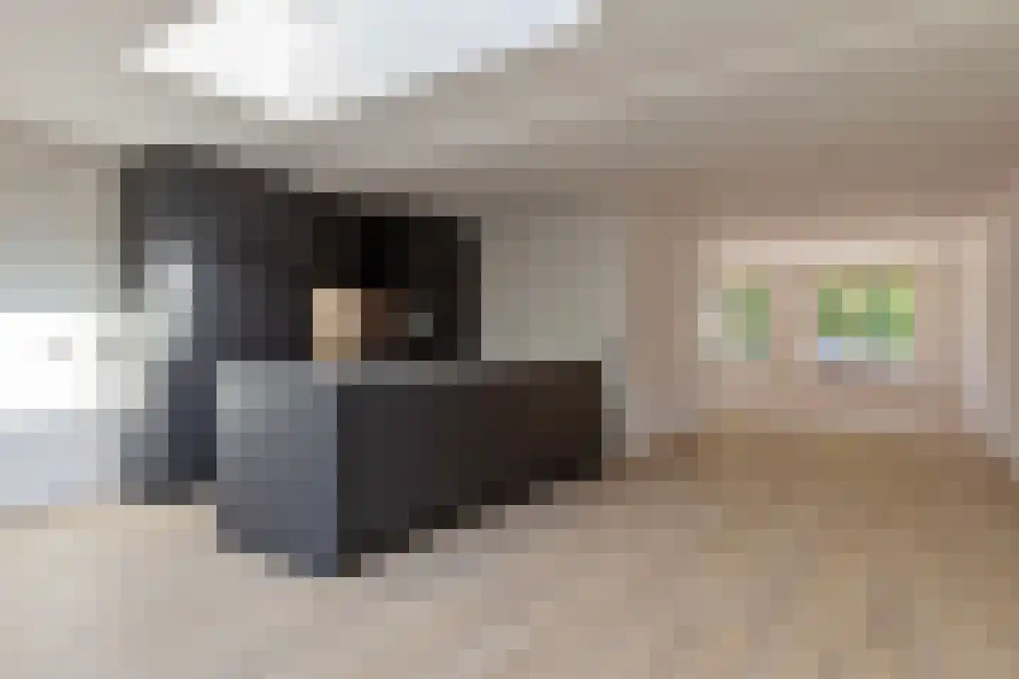 Ranonkel 15 Venray thumbnail 9